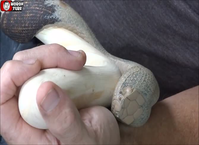 Video: This cane's hyperrealism is so amazing that it will chill you to the bone